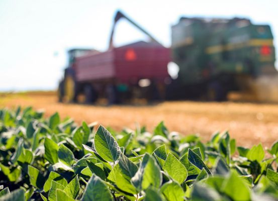 Agronegócio lidera exportações baianas em 2024