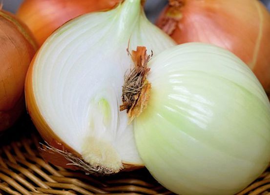 CEBOLA/CEPEA: Preços caem na Bahia