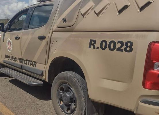 Homem é preso após cortar orelha de jumento em São Gabriel