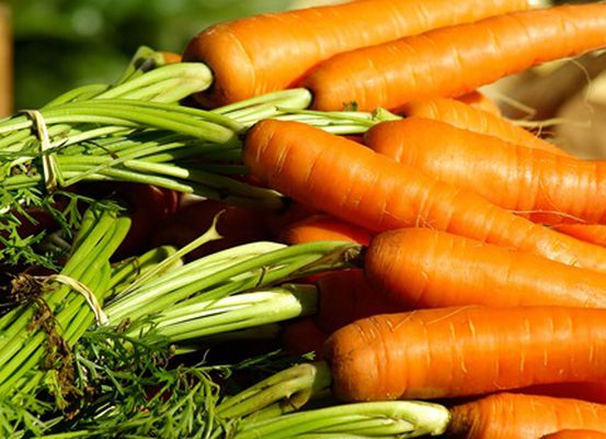 Mercado de cenoura em Irecê registra queda de 34% em uma semana