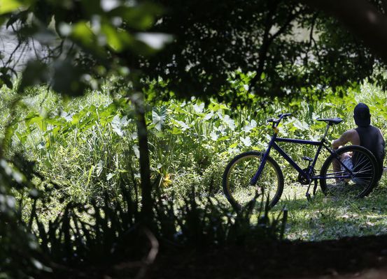 Outono começa com previsão de temperaturas acima da média