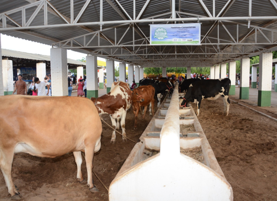 Parque de Exposições de Irecê preparado para a 24ª Expoagri