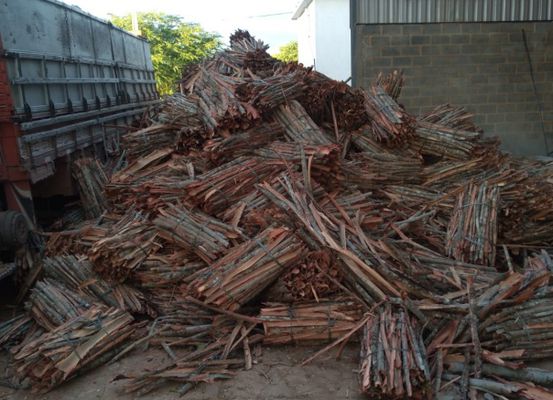 Polícia Ambiental apreende caminhão carregado com casca de angico na BA-052, entre Irecê e João Dourado