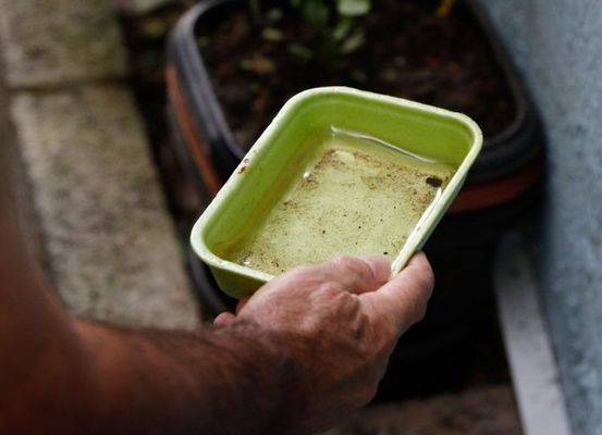 Prefeitura de Irecê intensifica combate ao mosquito com mobilização nos bairros a partir desta sexta-feira (24)
